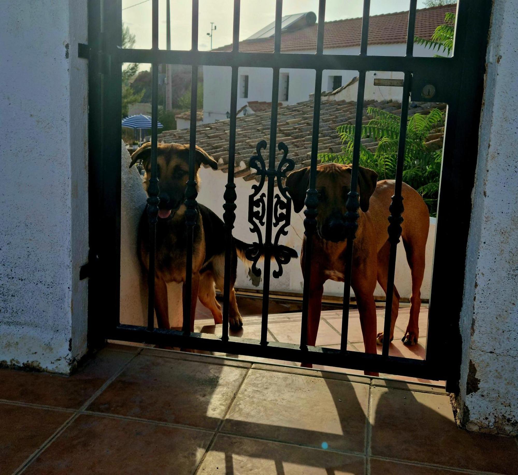 Cortijo Naturista Con Vistas-Clothing Optional Oria エクステリア 写真